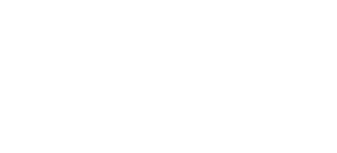 GoToFly - Agencia de Negocios